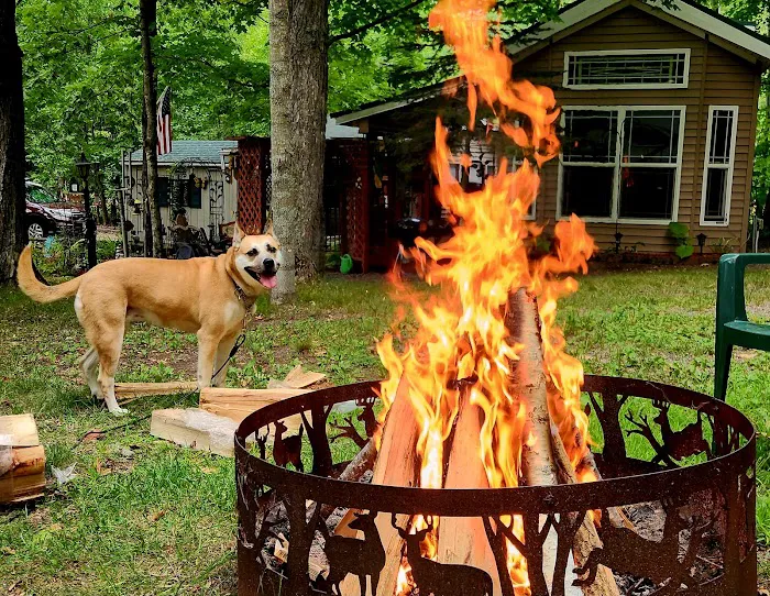 Sherwood Forest Campground Picture 9