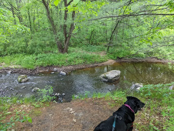 Lindbergh State Park Campground Picture 8