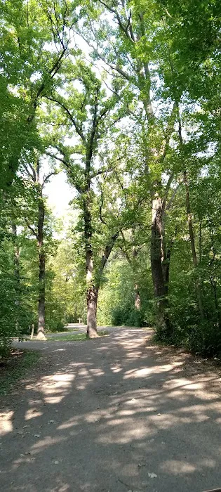Lindbergh State Park Campground Picture 1