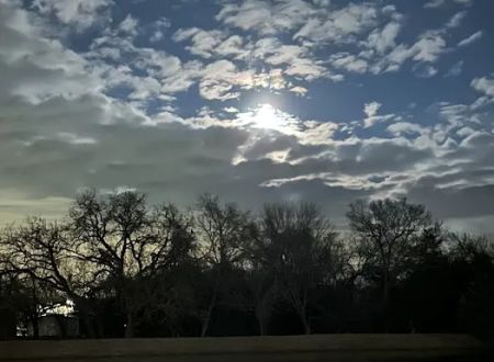 Fred Mitchell Mobile Home Park