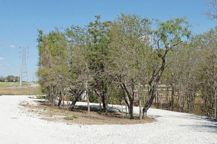 Whispering Elms RV Park, A Senior Living Community Picture 5