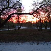 Whispering Elms RV Park, A Senior Living Community ico