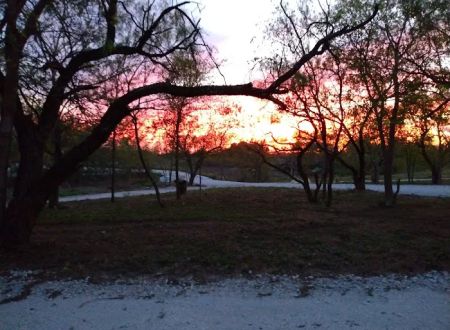 Whispering Elms RV Park, A Senior Living Community