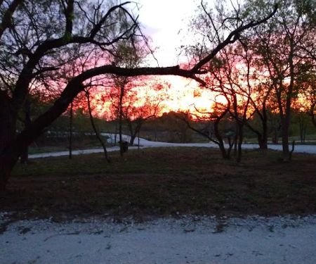 Whispering Elms RV Park, A Senior Living Community