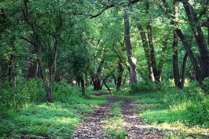 The Lazy H Campground Picture 2