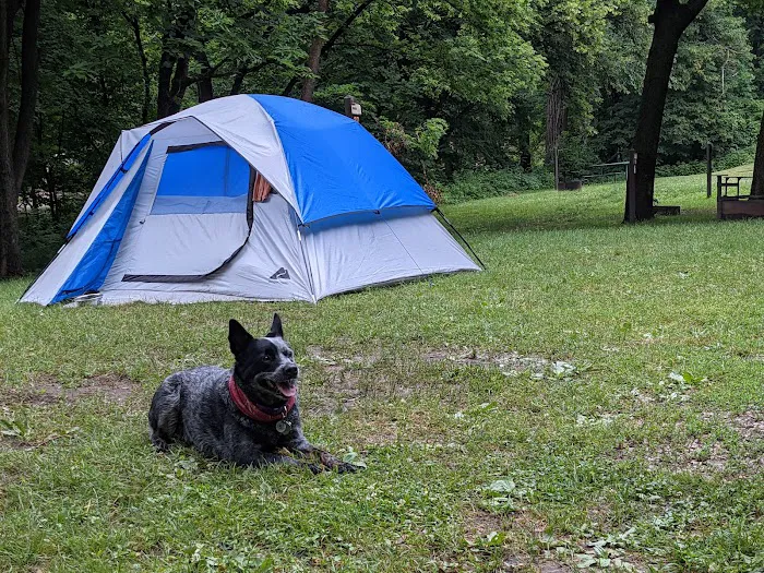Stone State Park Campground and Lodge Picture 4