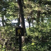 Stone State Park Campground and Lodge ico