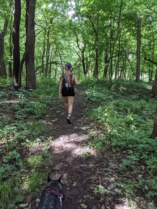 Stone State Park Campground and Lodge Picture 7