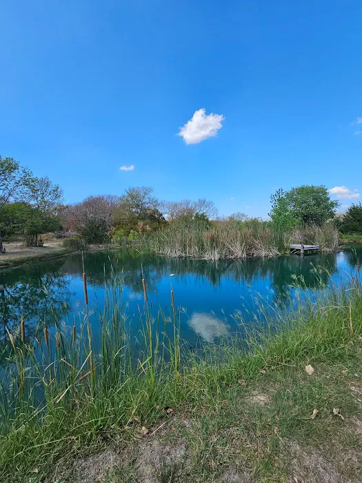 Grays Resort Picture 5