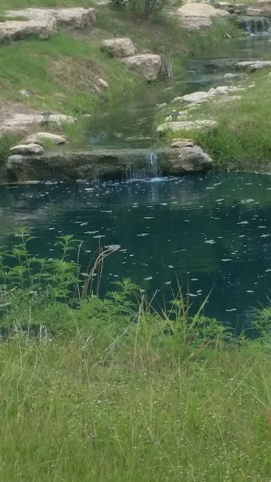 Grays Resort Picture 7