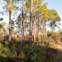 Eastern Lake Campground 1 ico
