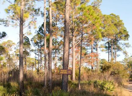 Eastern Lake Campground 1
