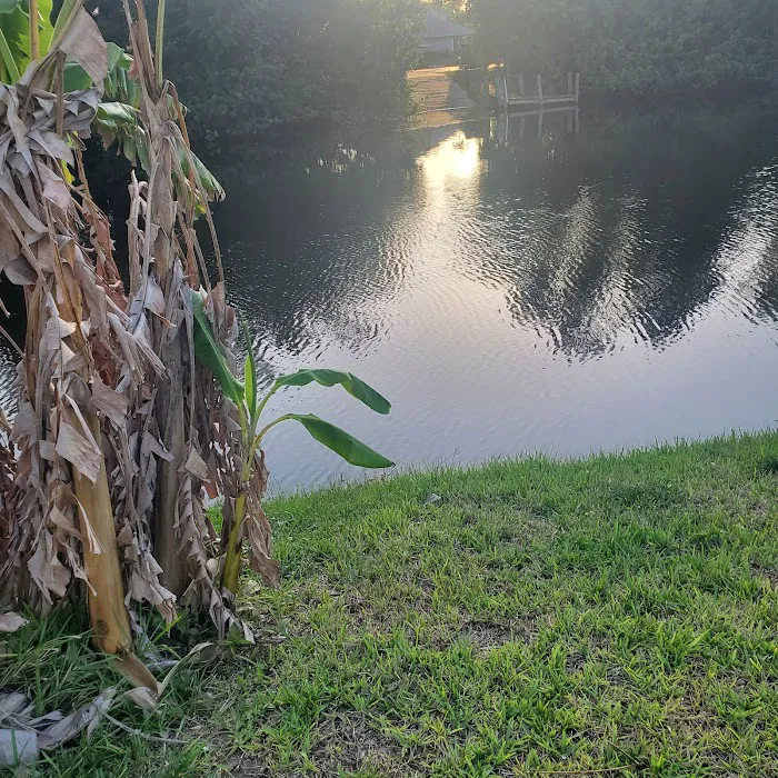 Bass Haven Camp Ground LLC Picture 2