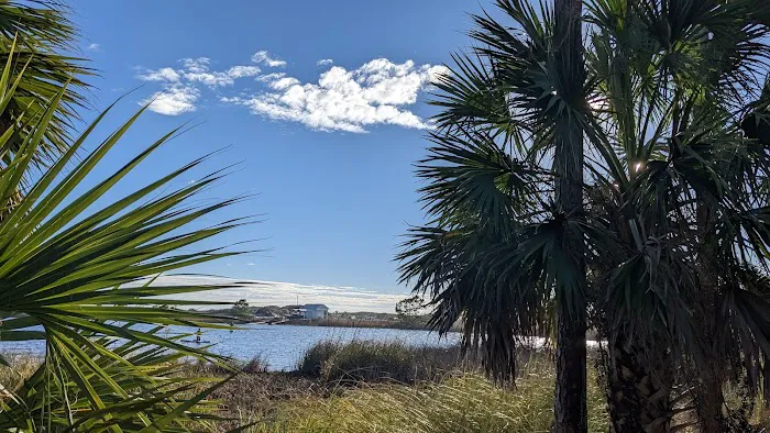 Camp Grayton Beach State Park Campground Picture 5