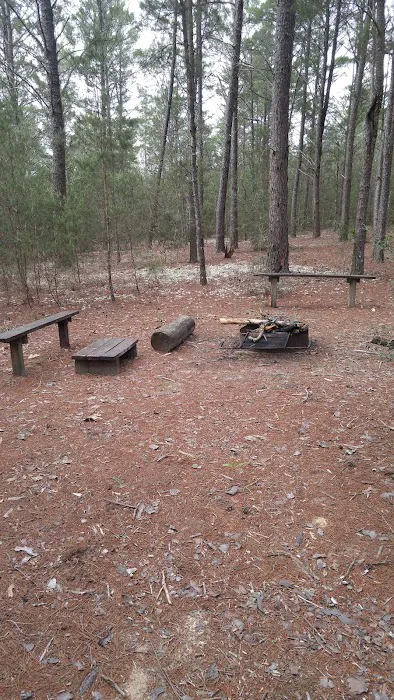 Alaqua Campsite Picture 5