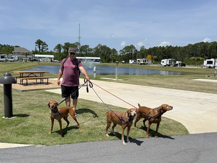 Panama City Beach KOA Holiday Picture 8