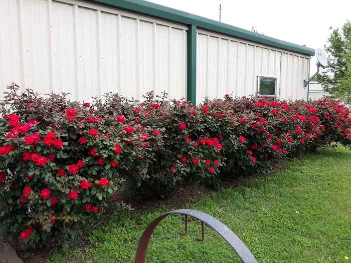 Country Living RV Park Picture 5