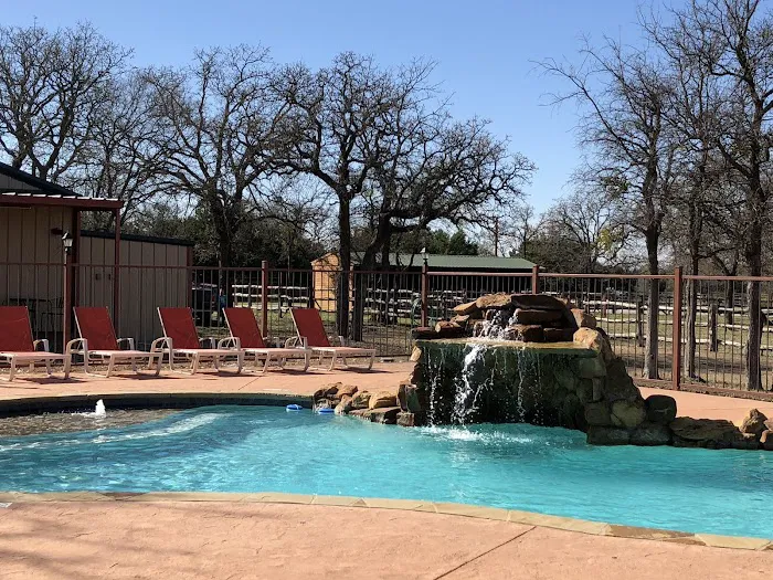 Texas Star RV Resort Picture 9