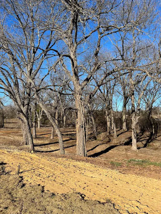 Pecan Hollow RV Park Picture 2