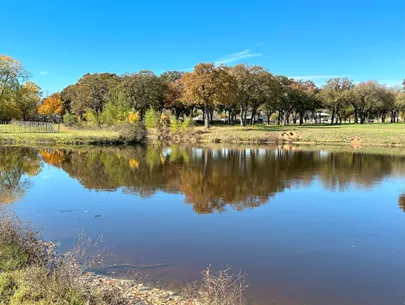 Legacy Longhorn Ranch and RV Resort Picture 4