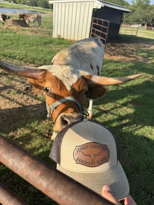 Legacy Longhorn Ranch and RV Resort Picture 1