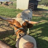 Legacy Longhorn Ranch and RV Resort ico