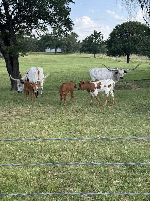 Legacy Longhorn Ranch and RV Resort Picture 2
