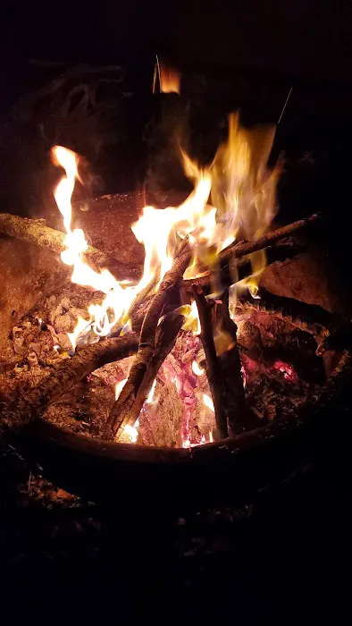 Newport Campground Picture 6