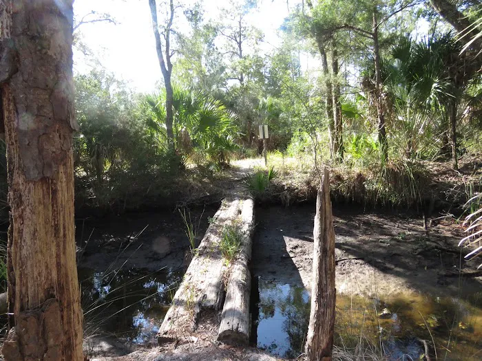 Pinhook River Campsite Picture 1