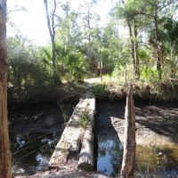 Pinhook River Campsite ico
