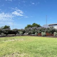 Primrose Village RV Park ico