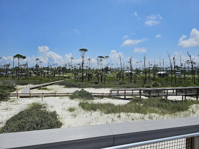 St Joseph Peninsula Campground Picture 2