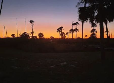 St Joseph Peninsula Campground