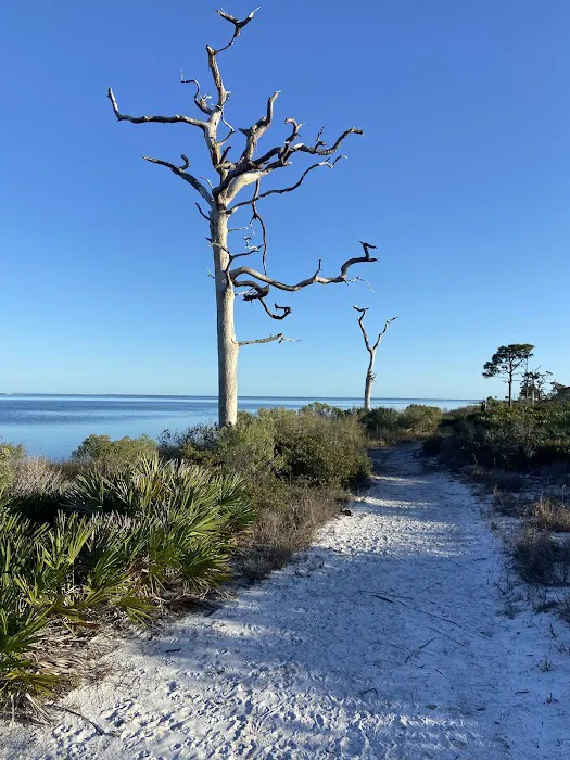 St Joseph Peninsula Campground Picture 6