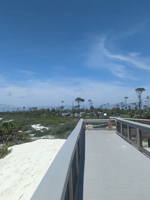 St Joseph Peninsula Campground Picture 3