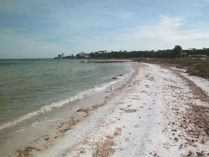 St Joseph Peninsula Campground Picture 9