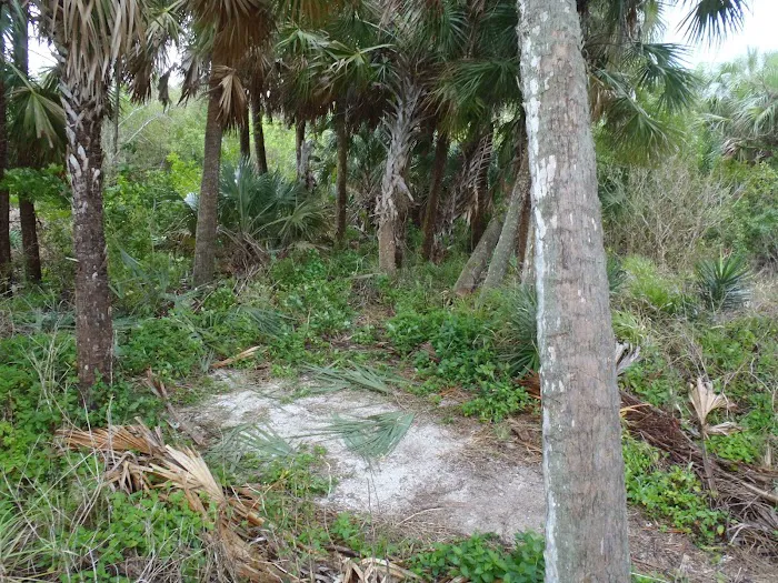 Highland Beach Picture 8