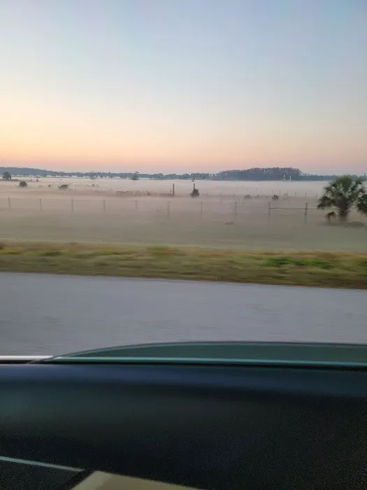 Highland Beach Picture 1
