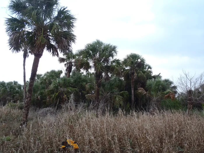 Highland Beach Picture 6