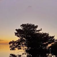Broad River ico