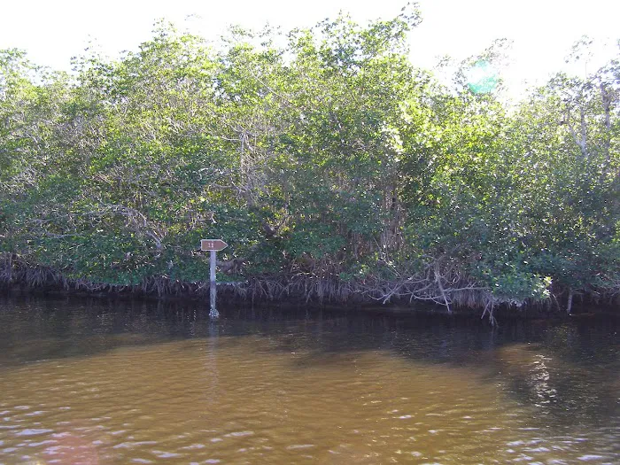 Harney River Chickee Picture 1