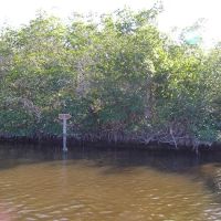 Harney River Chickee ico