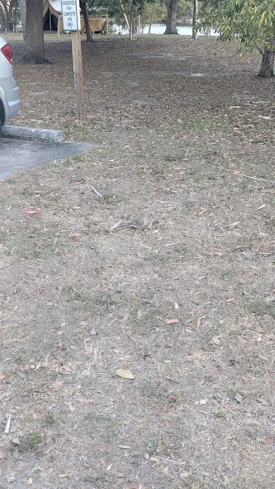 Quiet Waters Campgrounds Picture 7