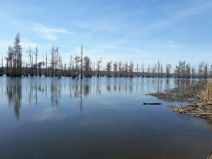 Greens Lake Camp Picture 1