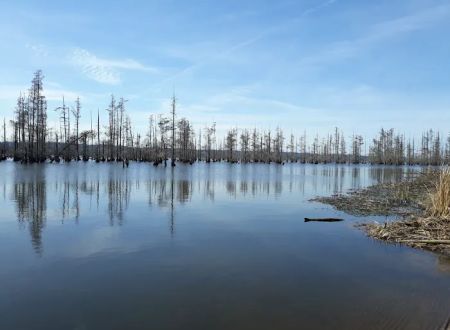 Greens Lake Camp