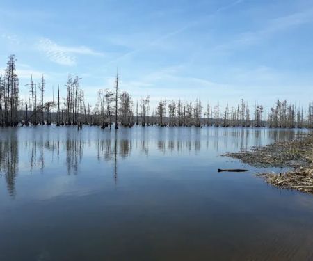 Greens Lake Camp