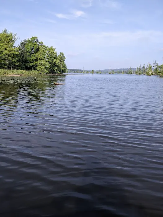 Greens Lake Camp Picture 2