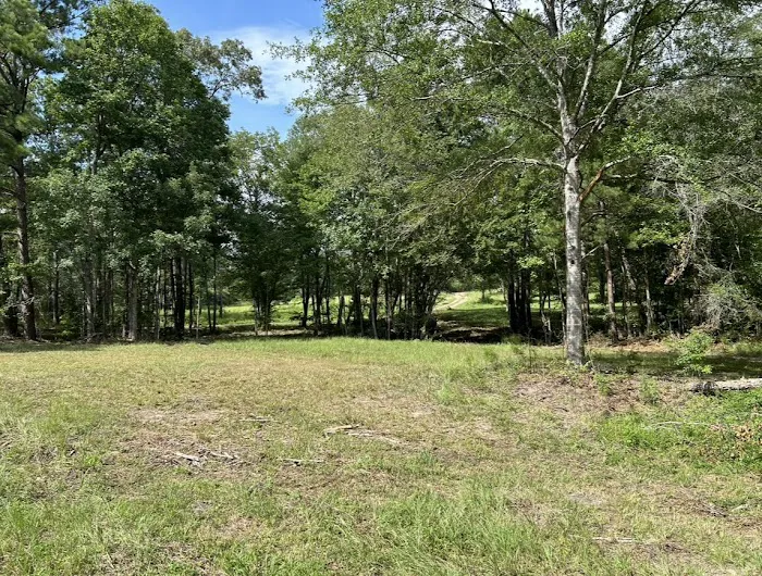 Miller Springs RV Park Picture 1