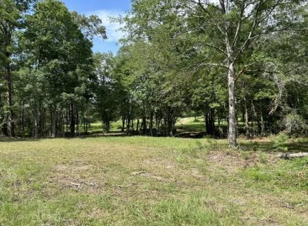 Miller Springs RV Park