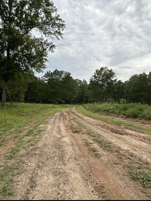 Miller Springs RV Park Picture 2